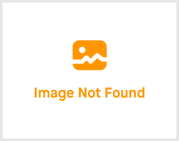 Bezoek nu de website van Vomar.