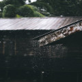Waarom stinkt regen soms en hoe ontstaat die geur?