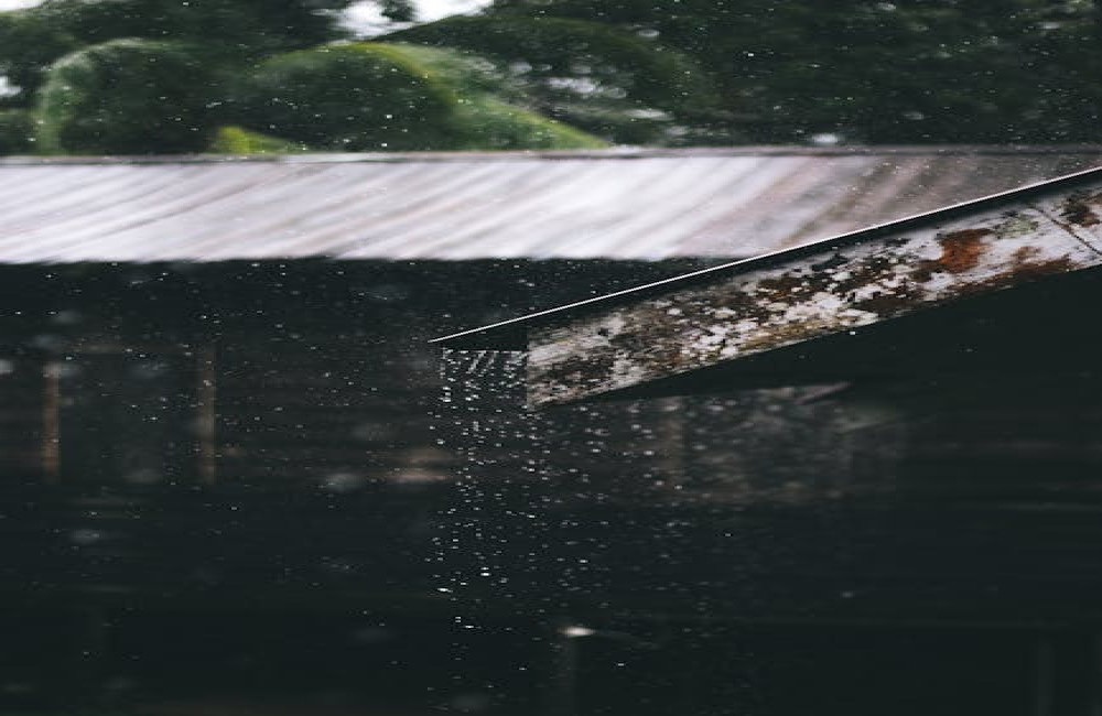 Waarom stinkt regen soms en hoe ontstaat die geur?