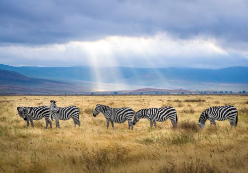 Vliegen naar Afrika? Lees dan onze 5 tips!