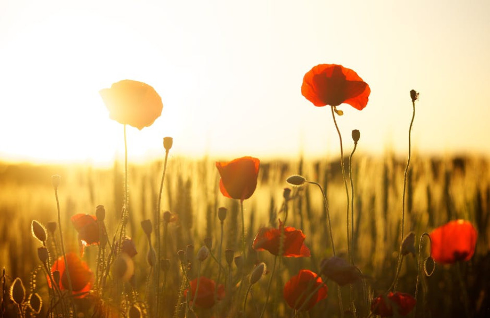 Hoe ontstaan zonsopgangen en waarom zijn ze zo kleurrijk?