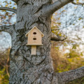 Wat is magnetische kleefkracht en hoe wordt het in huis toegepast?
