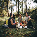 Op vakantie in Nederland met je hond? Samen genieten op een diervriendelijk vakantiepark!