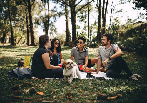 Op vakantie in Nederland met je hond? Samen genieten op een diervriendelijk vakantiepark!